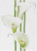 декор Rona 25х35