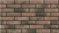 Loft Brick Сardamon 245х65х8