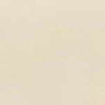 Neutral beige 1 598x598