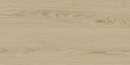 Madera Beige 31x62