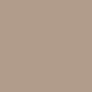 Color One Rako RAL 0607020