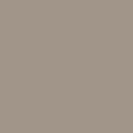 Color One Rako RAL 0607010