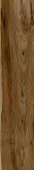 Wood Land brown