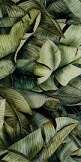 universal inserto glass leaf A 30x60