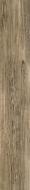Terrane brown POL 119,8x19