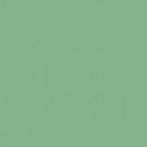 Gamma Green Shiny 19,8x19,8