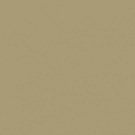 Gamma Karmelowa Shiny 19,8x19,8