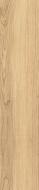 Mountain Ash gold STR