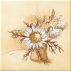 Classic 150x150x6 WIT1B259