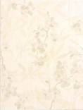 inzerto Lazio 250x330x7 WITKB054