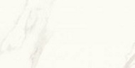 Calacatta polished 59,8x119,8