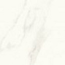 Calacatta mat 59,8x59,8