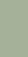 Feelings Green mat 29,8x59,8