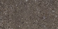 Ceppo nuovo black