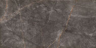Camilia brown 30,8x60,8
