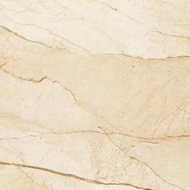 Fargesia beige MAT 59,8x59,8