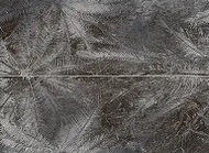 Dekor ścienny 2-elementowy Sedona Palms 65,8x89,8